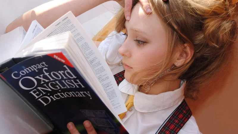 Przygotuj się do egzaminu prawniczego dzięki aplikacji z testami