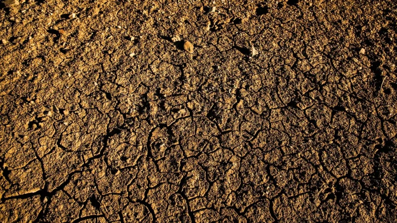 Wpływ zmian klimatycznych na rolnictwo